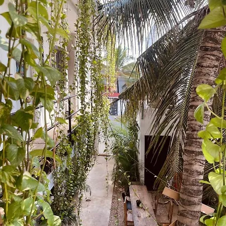 Anana Coliving Hotel