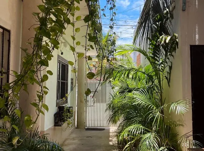 Anana Coliving * Playa del Carmen
