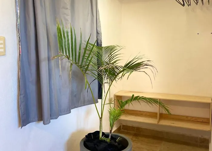 Inn Anana Coliving Playa del Carmen
