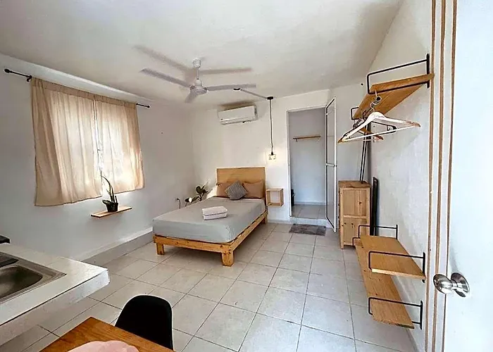 Anana Coliving Playa del Carmen