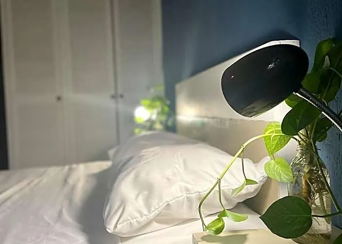 Anana Coliving Inn Playa del Carmen